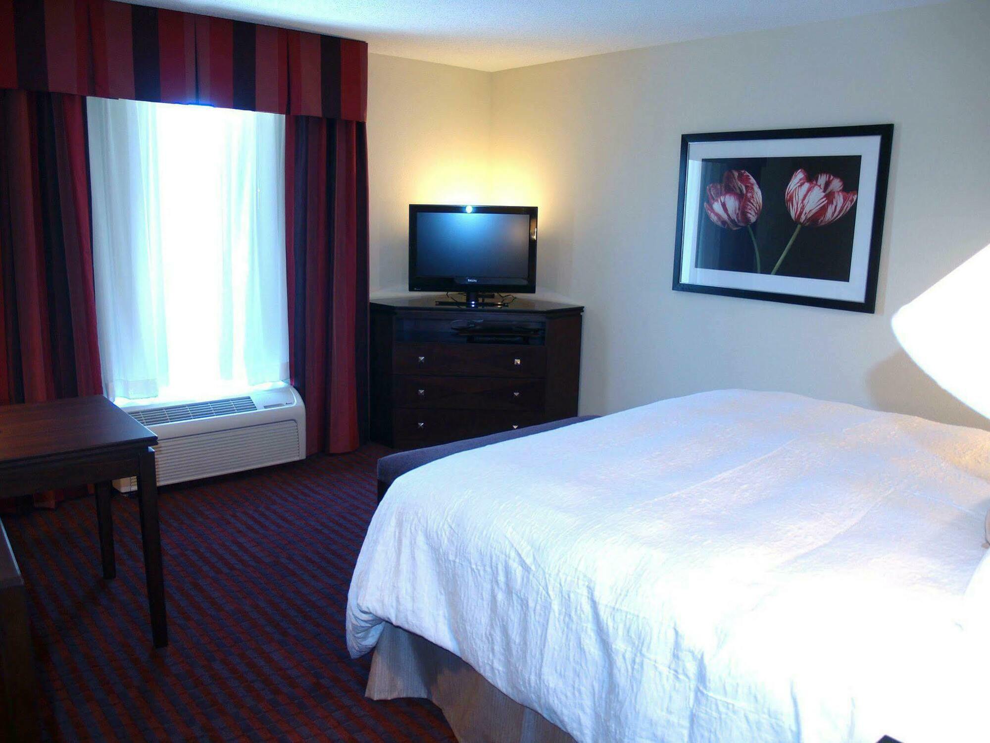 Hampton Inn Richmond - Airport Sandston Pokoj fotografie